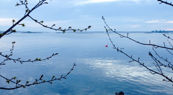 Lövsprickning och planer