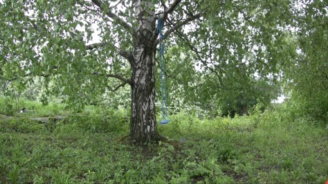 Swinging - harakka-vesikuvia