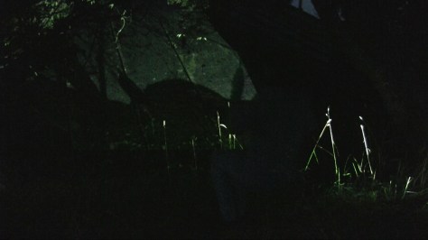 Swinging tonight perf-1