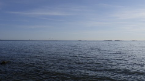 Harakka-11-4_1000531