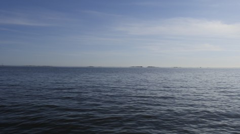 Harakka-11-4_1000533