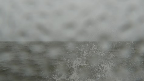 videostilli-Harakka-12-4-P1000549