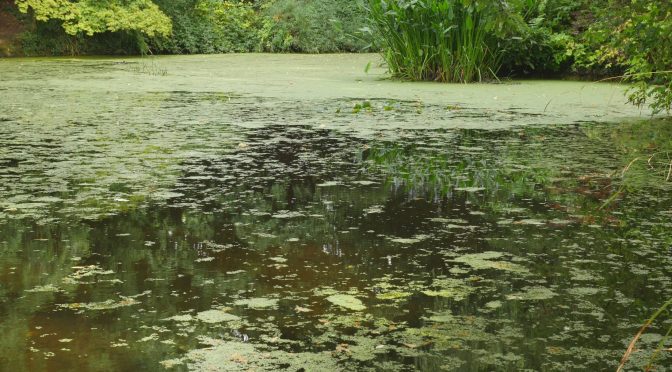 Rocks on the Body in Exeter