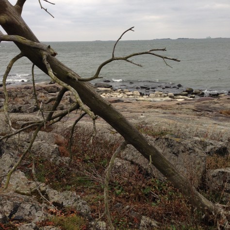 fil-24-10-2016-16-05-24