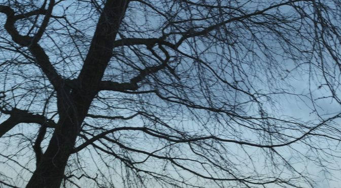 Vindens val av bildvinkel