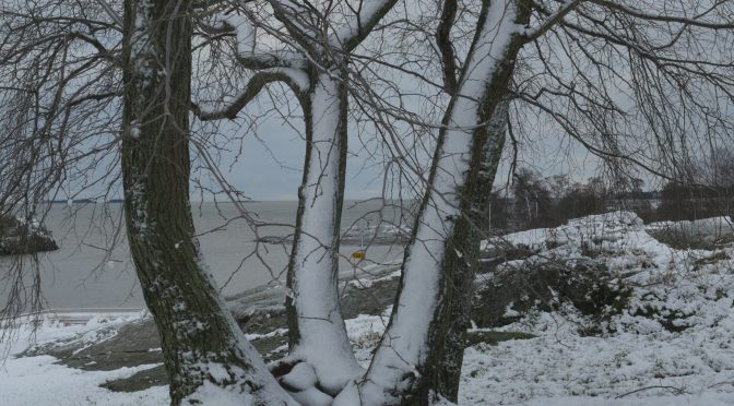 Snö och vinterkyla blev storm och regn