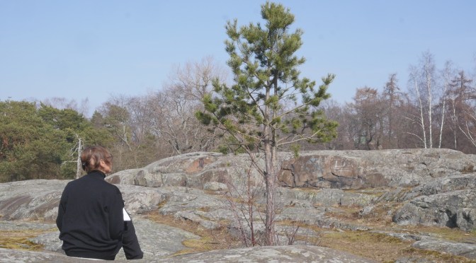 Tallen i Brunnsparken