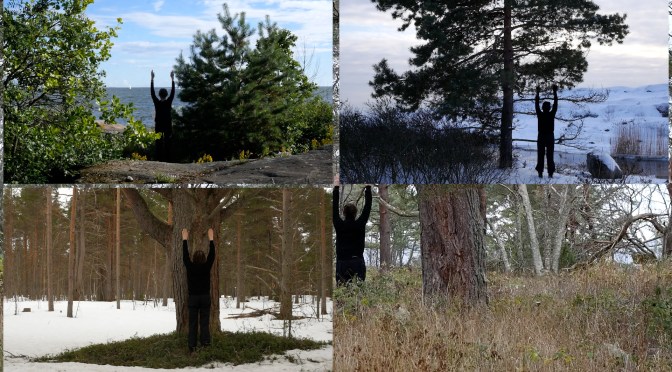 Practicing with Pines – Harjoituksia mäntyjen kanssa – Övningar med tallar