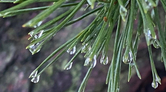 Tack 2022 – Välkommen 2023!